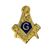 Masonic Lapel Button in gold tone