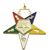 Order of the Eastern Star Associate Patron officer jewel with enameled gold-tone finish