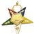 Order of the Eastern Star Lecturer officer jewel with enameled gold-tone finish