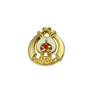 Past Potentate Lapel Pin